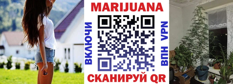 МАРИХУАНА сатива закладка Волхов